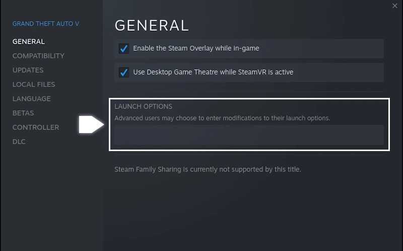 Grand Theft Auto V Launch Options in Steam