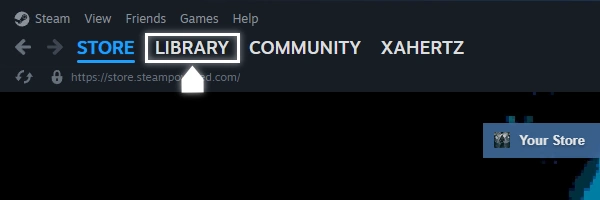 Steam Library